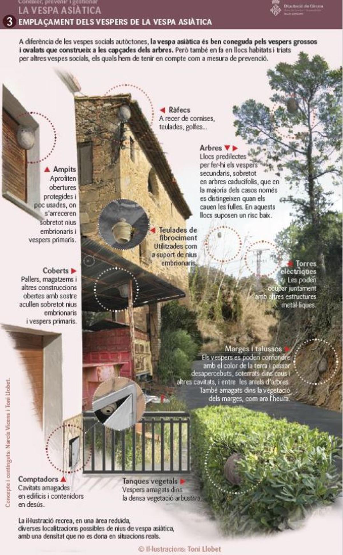 L'emplaçament dels vespers