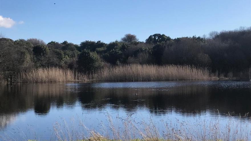 Lagoa Bodeira, uno de los humedales más importantes de Galicia.