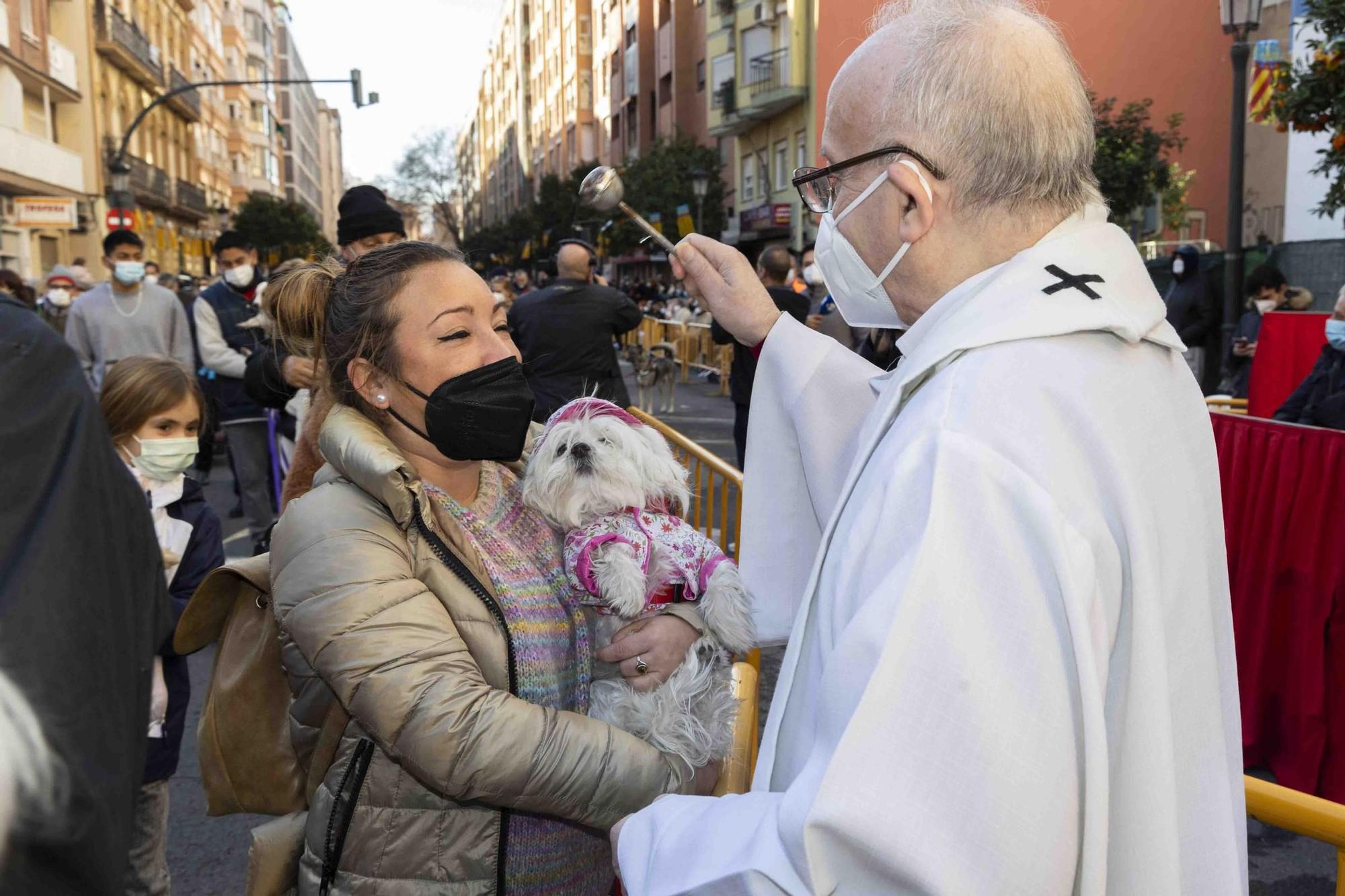 Búscate en la bendición de animales de Sant Antoni