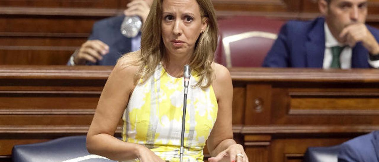 La consejera de Hacienda, Rosa Dávila, en el Parlamento.