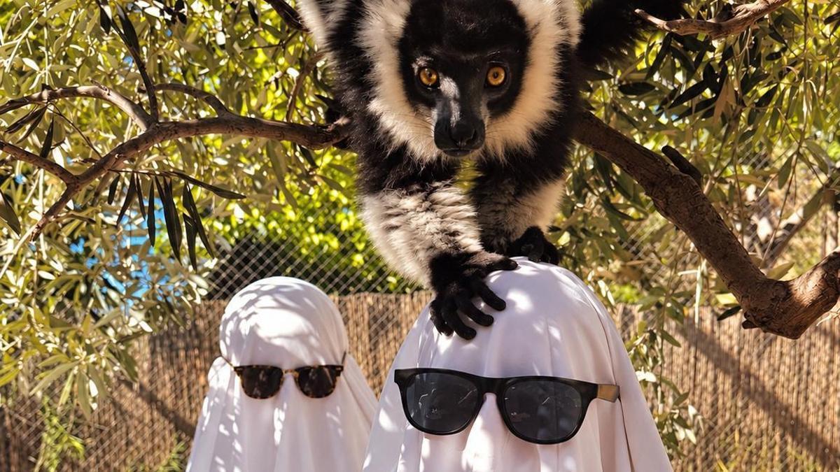 Terra Natura Murcia propone tres experiencias para vivir un Halloween diferente