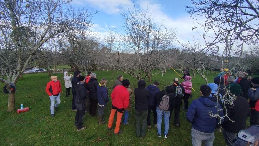 En imágenes: Aprender a leer el árbol, un taller para perder el miedo a la poda del manzano