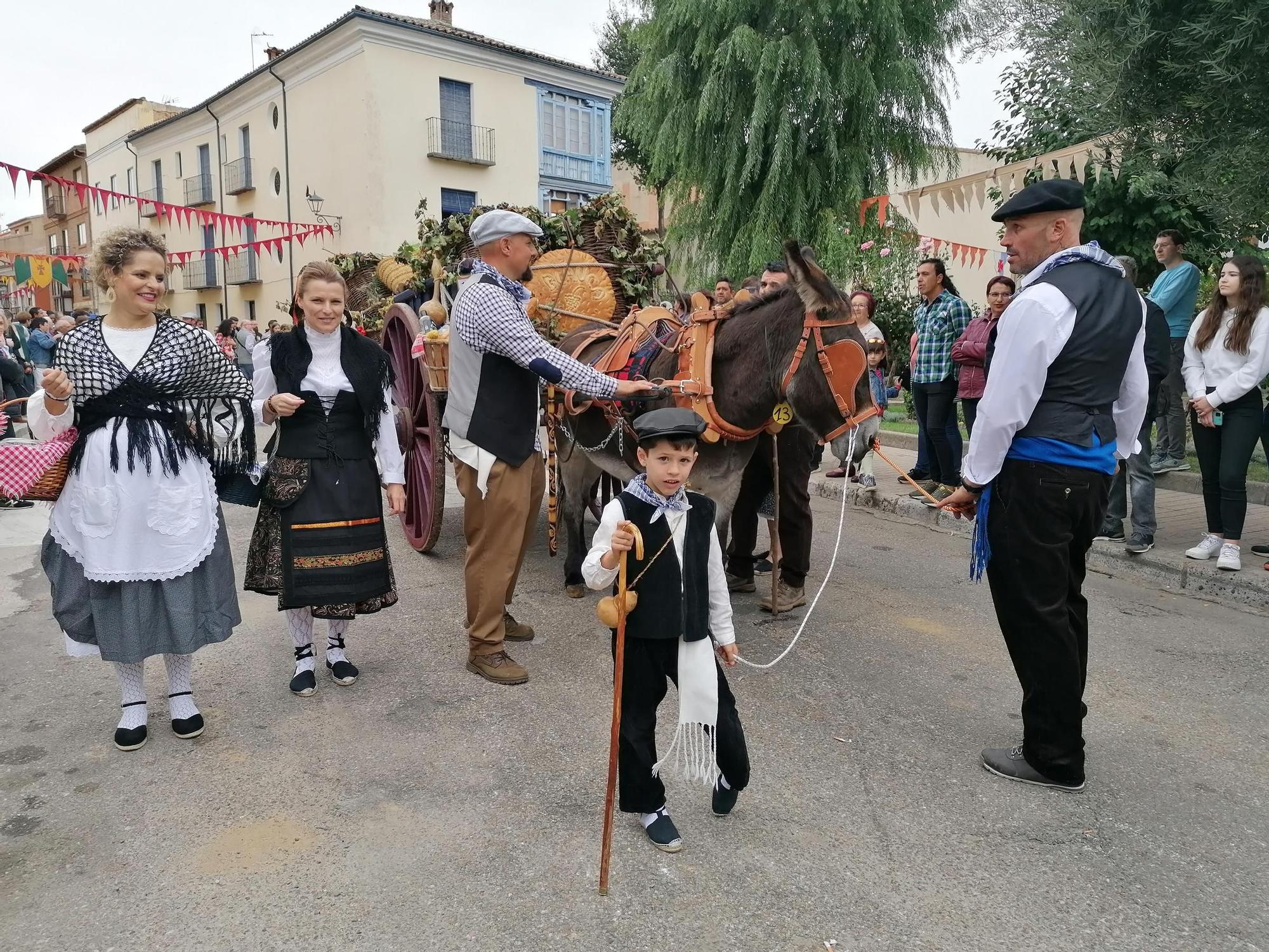 GALERÍA | Toro recrea la vendimia tradicional en el desfile de carros