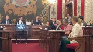 El Pleno de Alicante, en directo: el PP y Vox chocan de nuevo por los puntos violeta