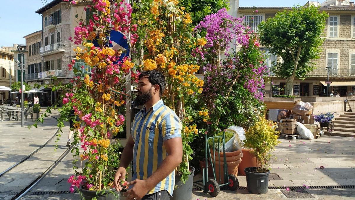 Die Crew stellte auf dem Hauptplatz in Sóller alles mit Blumen zu.