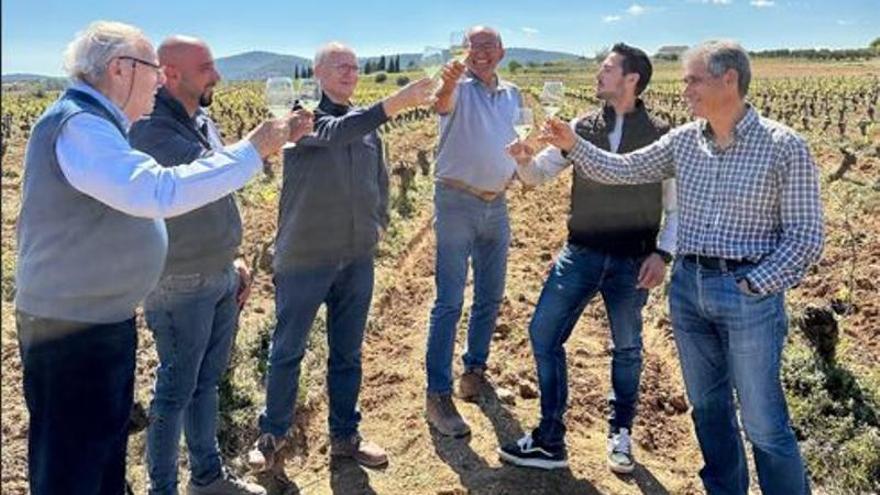 Los viticultores de Requena logran representación en la DO Cava