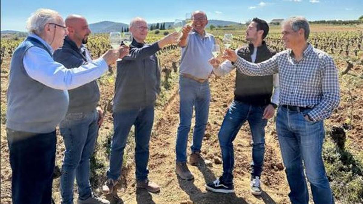 Los viticultores valencianos celebran el éxito en las elecciones de la CO Cava.
