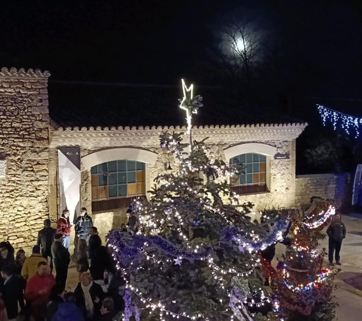 El árbol de Navidad cambió de ubicación y  se colocó en la plaza Goya