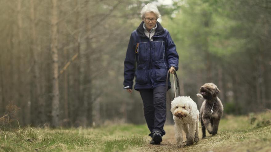 Passejar el gos té efectes positius per a la salut.