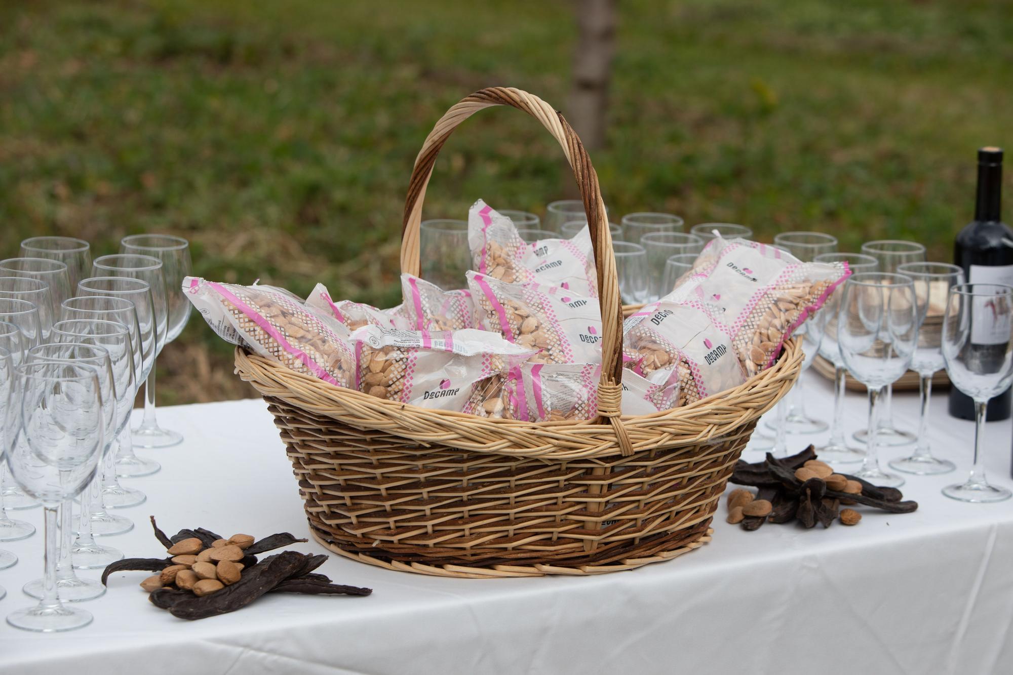 as cooperativas agroalimentarias impulsan una experiencia que aúna agricultura y turismo en una finca de almendros