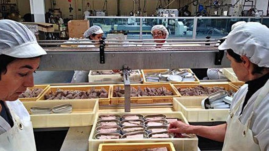 Trabajadoras de una fábrica conservera preparan latas de atún.