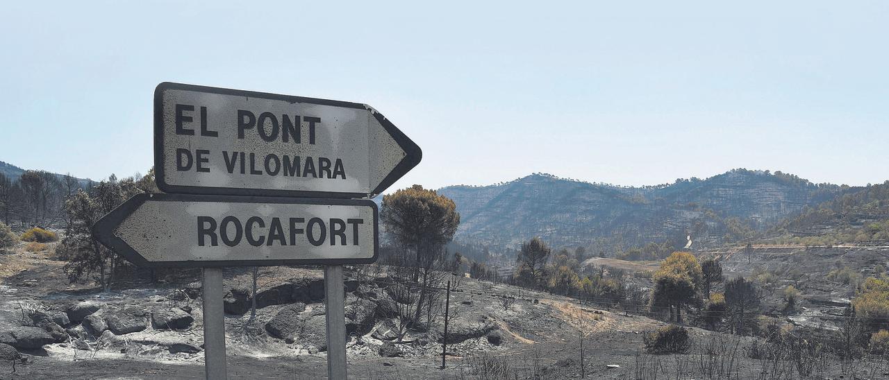 Vista de part de la zona afectada per les flames | ALEX GUERRERO