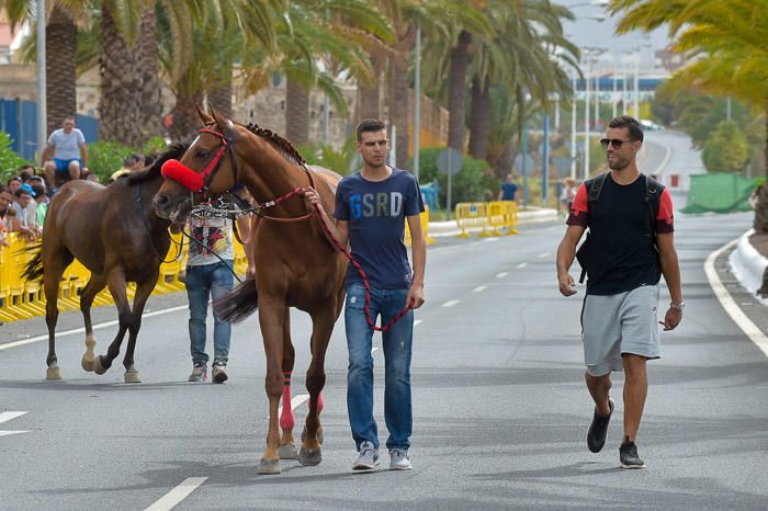 Carrera de caballos con motivo de las fiestas de ...