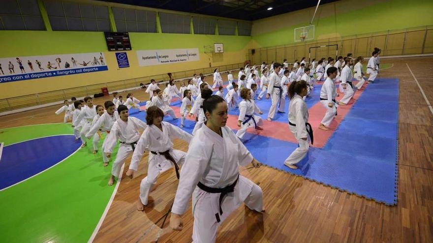 Una exhibición de kárate en el polideportivo de La Felguera.