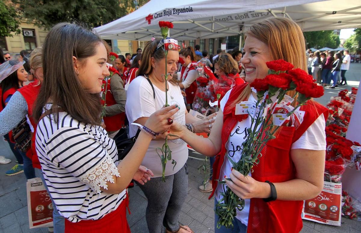 Cruz Roja reparte claveles por la igualdad