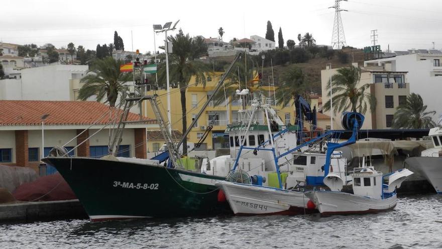 Barcos pesqueros atracados en el único puerto de la Axarquía.