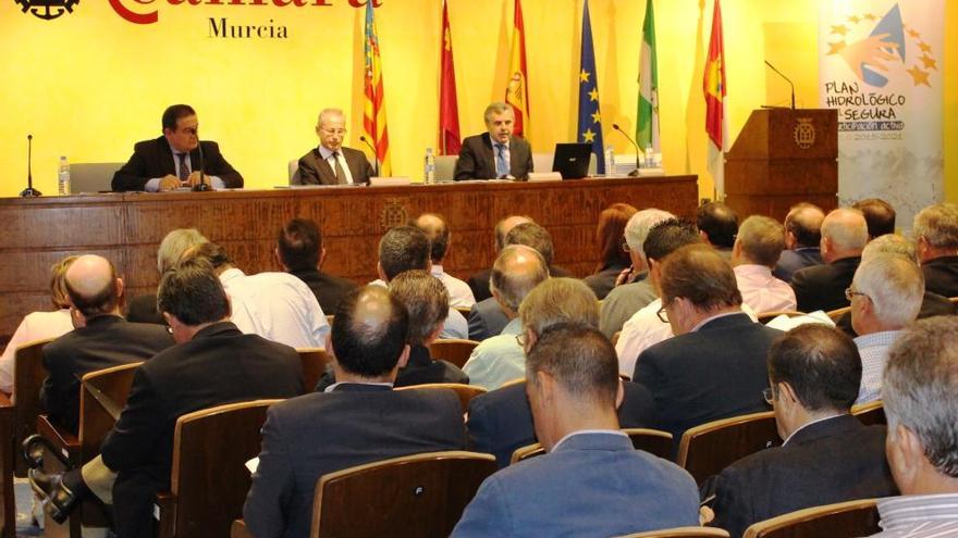 El Consejo del Agua del Segura informa favorablemente el Esquema de Temas Importantes de la cuenca