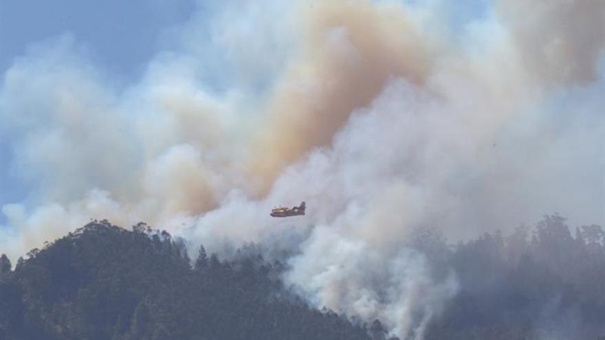 Agricultura mantiene 11 medios aéreos contra el fuego de Gran Canaria