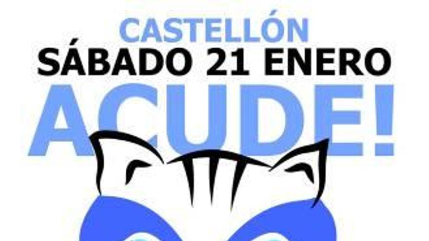 Unas 30 asociaciones se unen en defensa de los gatos tras aparecer ahorcado uno en el Grau