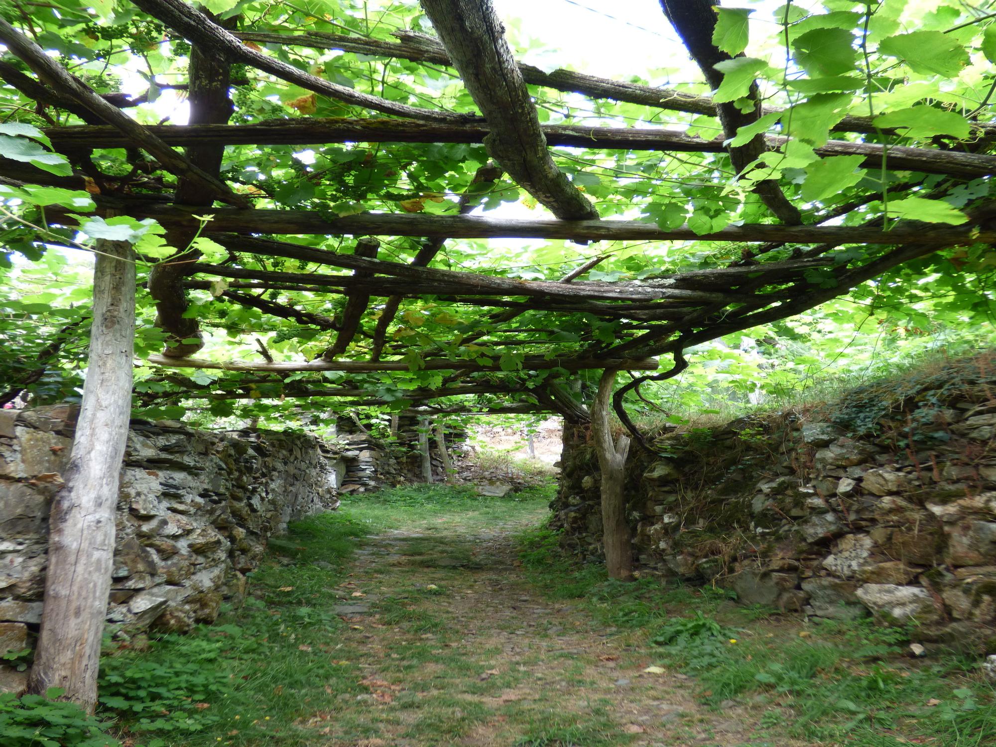 Pueblos guapos de Asturias: Riodeporcos (Ibias), al que se llega cruzando un puente