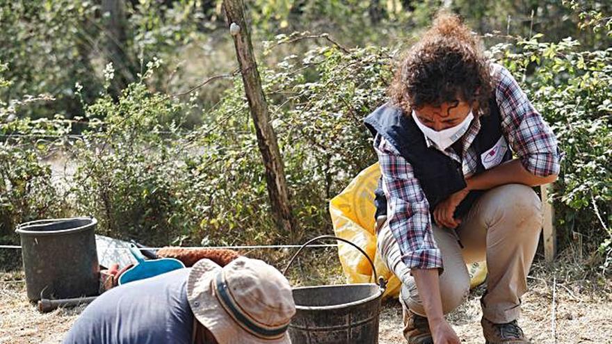 Arriba, por la izquierda, Valentín Álvarez, Irene Faza y María Rodríguez, trabajando en las dos habitaciones descubiertas. Sobre estas líneas, miembros del equipo analizan la  zona excavada. | Luisma Murias