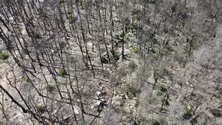 El Govern usa un dron para identificar restos de la guerra civil en la zona incendiada de Corbera d'Ebre