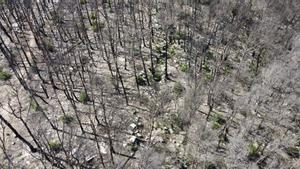 El Govern utilitza un dron per identificar restes de la Guerra Civil a la zona incendiada de Corbera d’Ebre