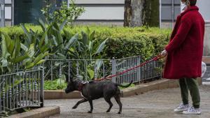 Una mujer con mascarilla pasea a su perro.