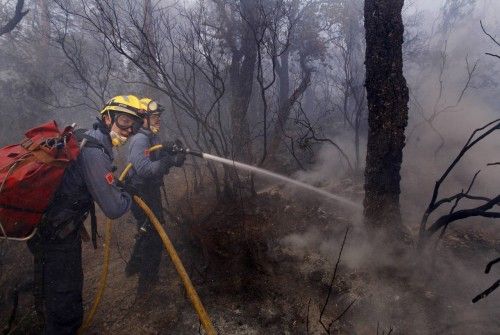 Incendi forestal a peu de les Gavarres