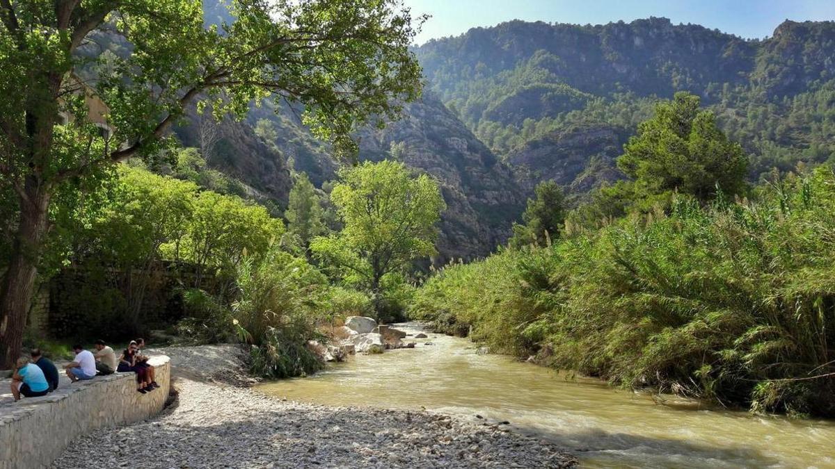 El río Serpis, a su paso por el término municipal de Villalonga, en una imagen de archivo.