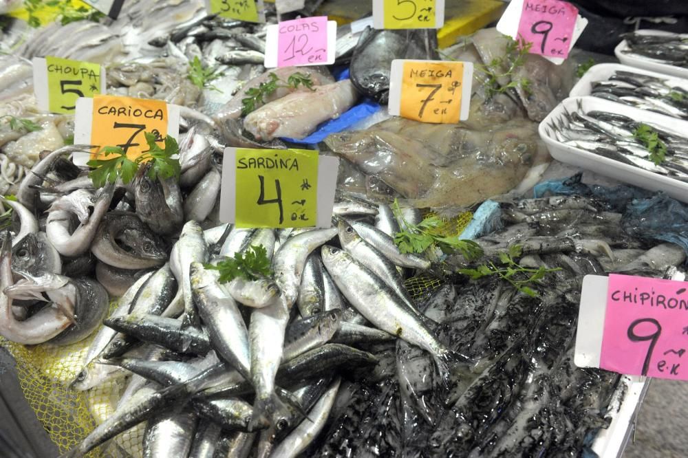 Pocas sardinas en A Coruña en vísperas de San Juan