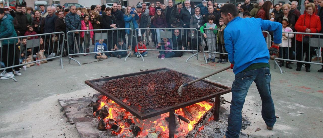 Castañas no lume na celebración do San Martiño en Ourense.