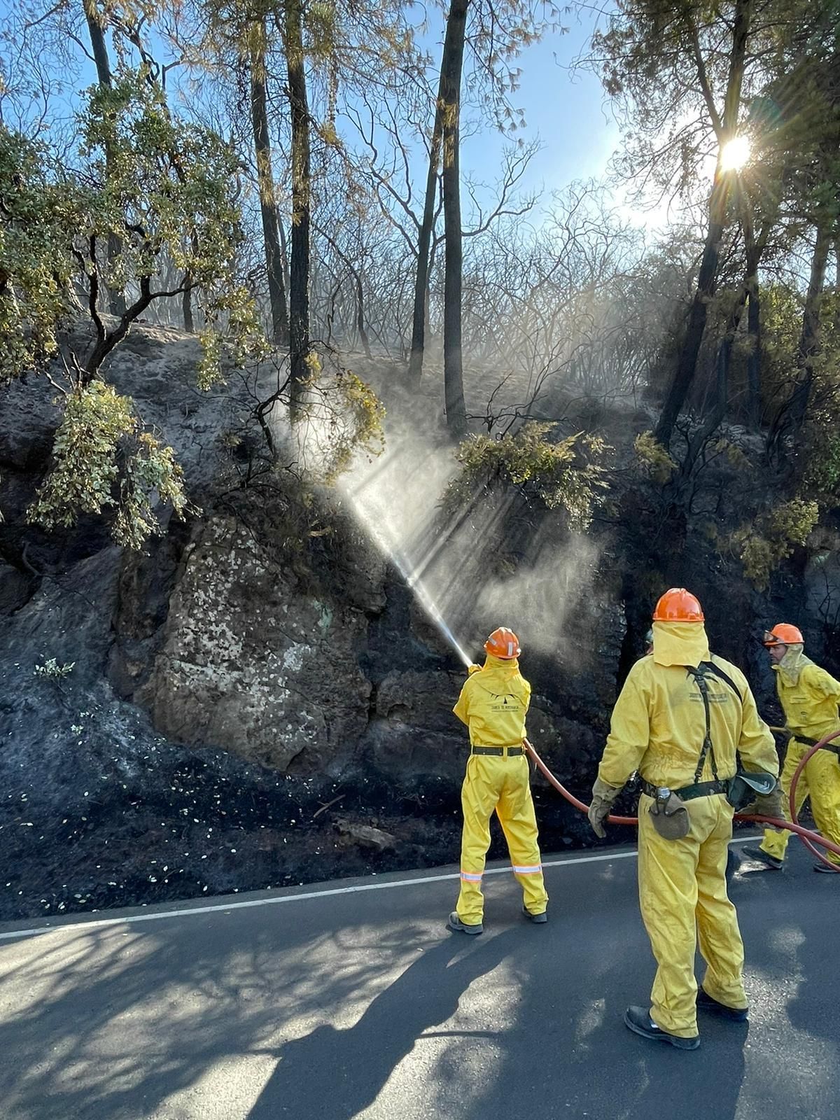 Grupo de Pronto Auxilio de las Siete Fincas: guardianes contra el fuego