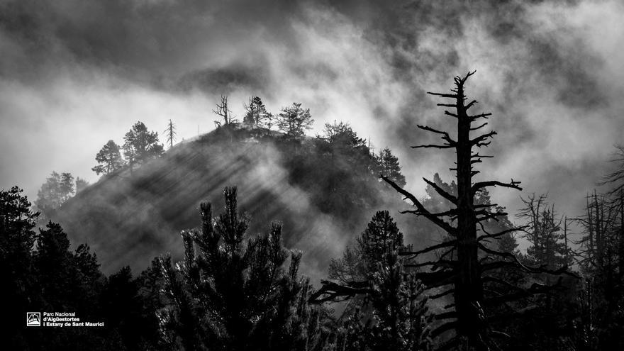 Les fotografies premiades al 30è concurs del Parc Nacional d&#039;Aigüestortes i Estany de Sant Maurici