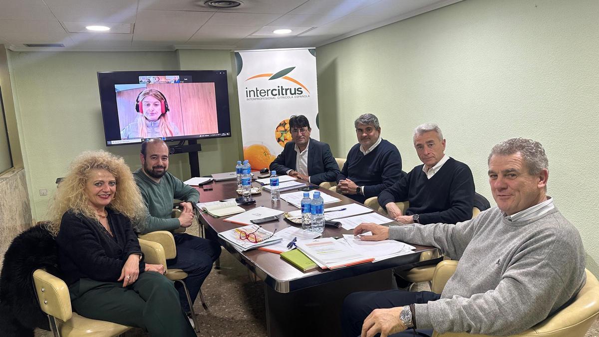 Ricardo Bayo (UPA, al fondo a la izqda); Inmaculada Sanfeliu (CGC, al frente a la izqda); Celestino Recatalá (presidente de Intercitrus, ASAJA); Jenaro Aviñó; Ramón Espinosa y José Vicente Andreu (ASAJA, todos ellos)