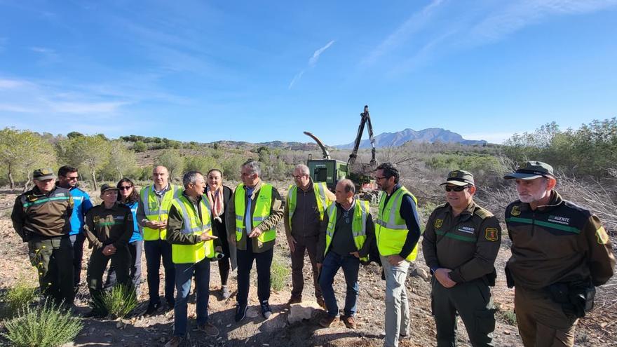 Los bosques al límite: Coto Cuadros recibe una intervención masiva frente al decaimiento forestal