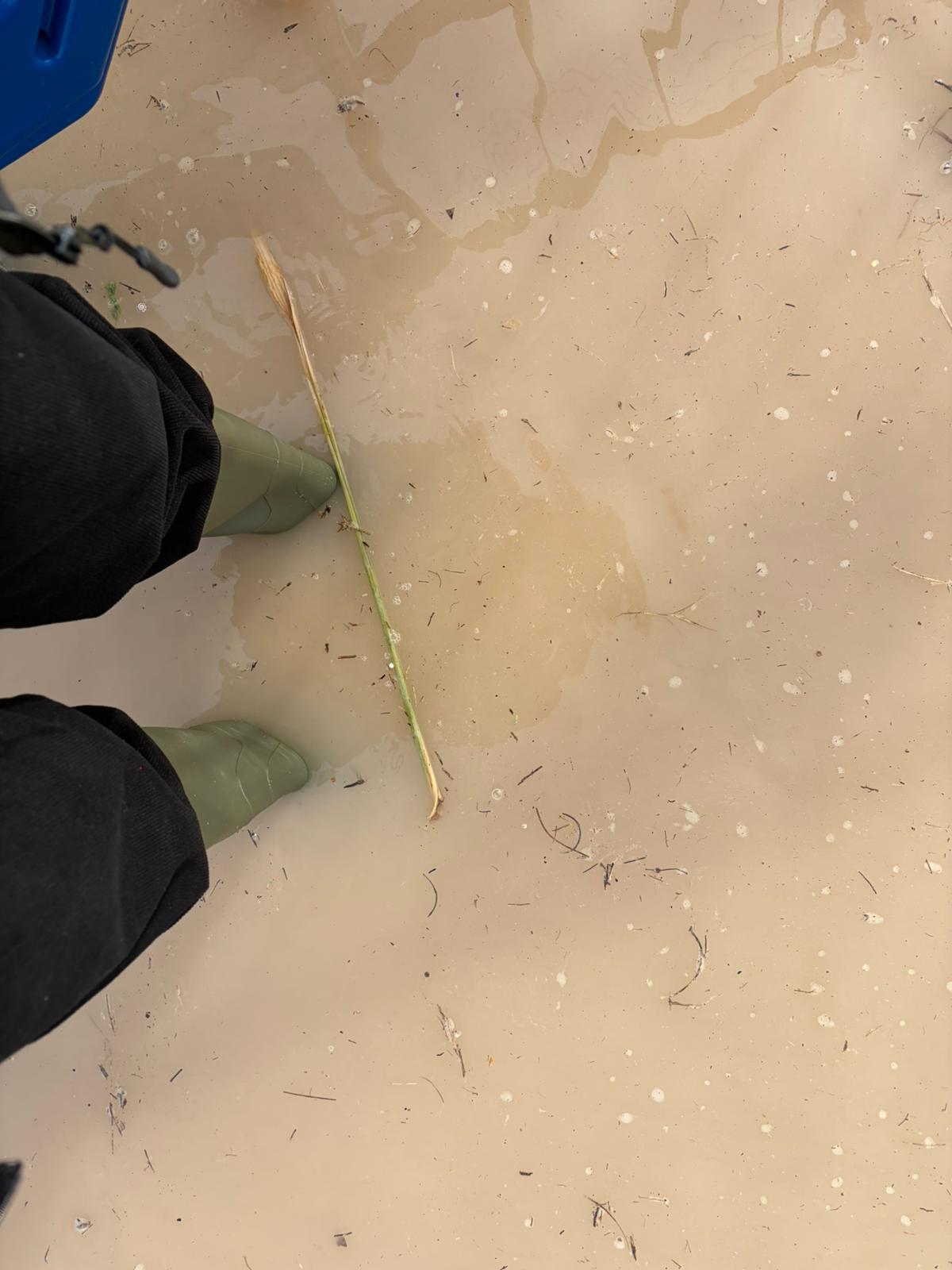 Una vecina, en una calle de la Malvarrosa.