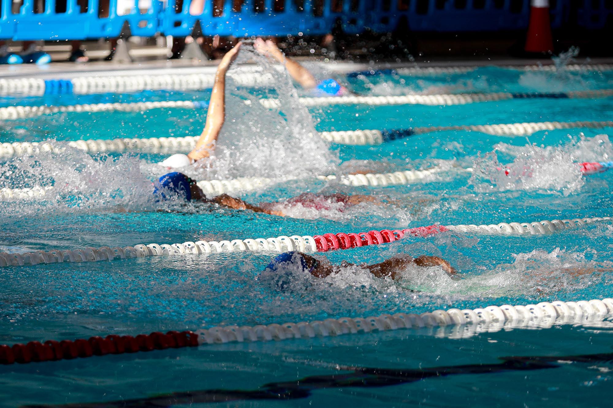 Campeonato de Baleares de invierno de Natación