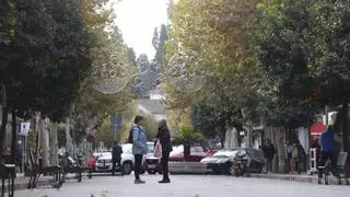La obra para convertir la avenida de la Viñuela en una plataforma única empezará en septiembre