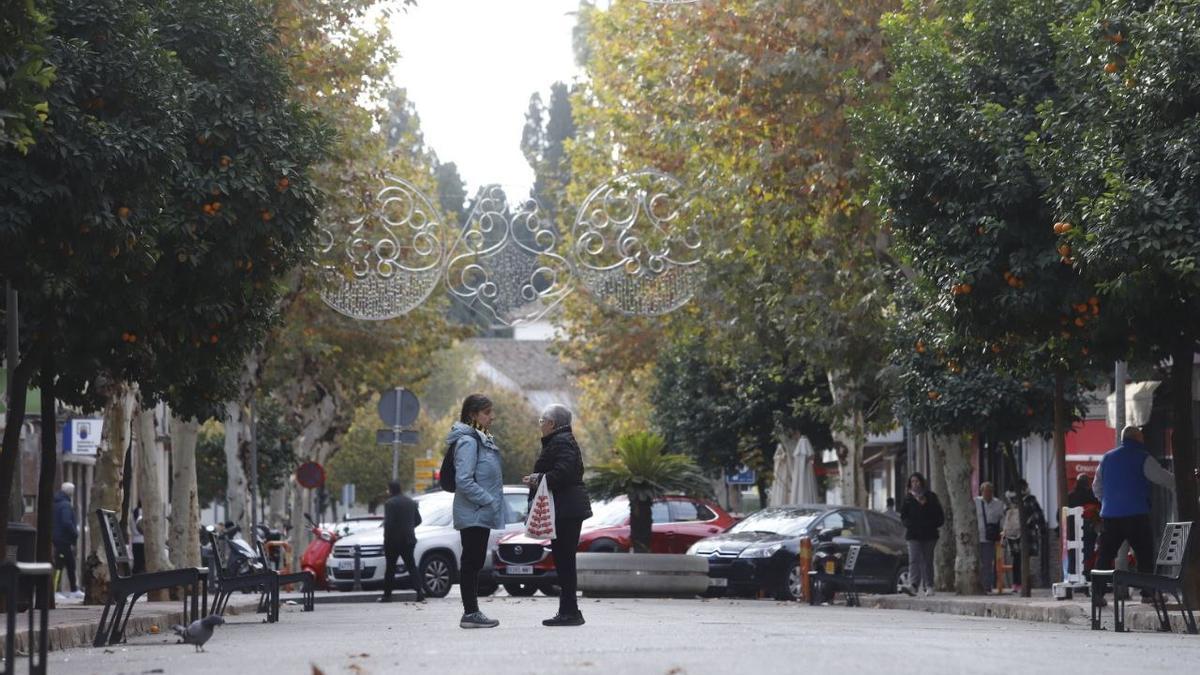 La peatonalización definitiva de la avenida de la Viñuela la transformará en una gran calle ajardinada.