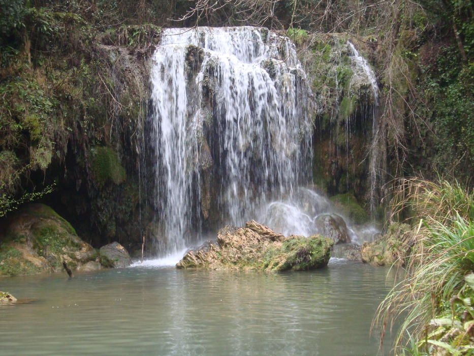 Cascada. El salt del Molí dels Murris és riera amunt entre les Planes d'Hostoles i l'ermita de Sant Salvador de Puig-alder; i aquests dies hi baixa força aigua.