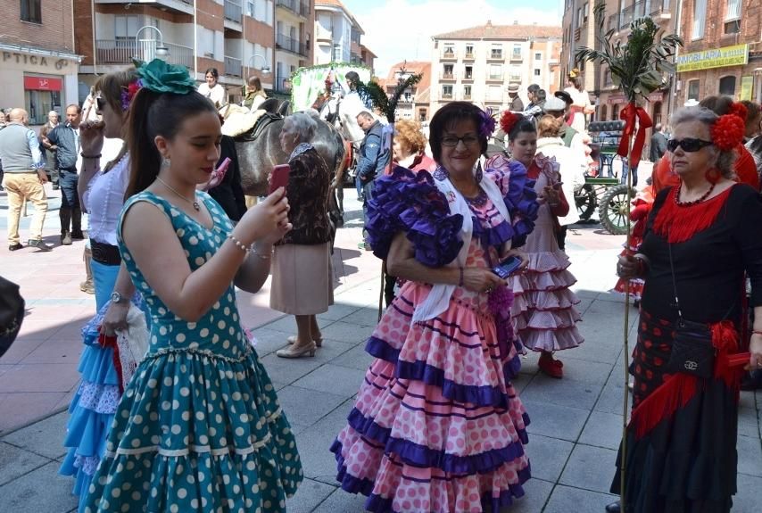 Día del Caballo en Benavente