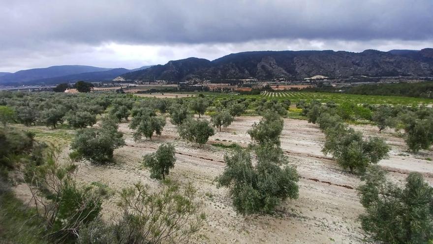Moixent es mobilitza contra la macroplanta solar del transvasament Xúquer-Vinalopó: “És hora de defendre el que més estimem”