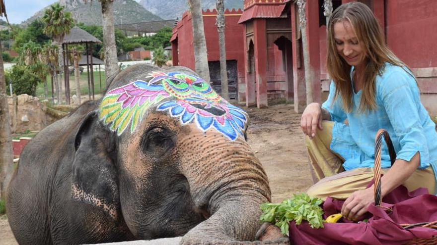 La elefanta &quot;Petita&quot; cumple 46 años rodeada de colores en Terra Natura en Benidorm