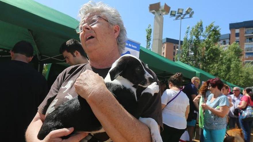 Una mujer, con su mascota, en la Dog Party celebrada en el Parque del Oeste en mayo pasado.