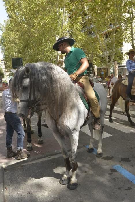 Día del caballo en la Feria de Murcia