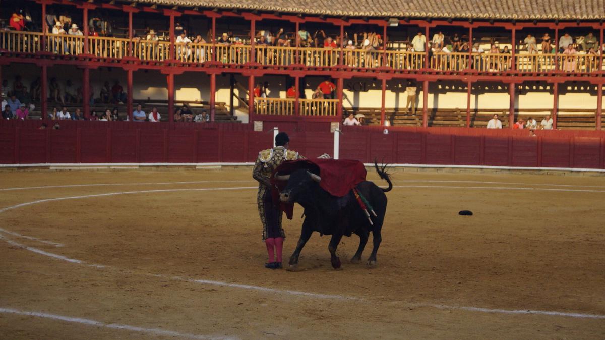 Ismael Martín abrió la triple puerta grande de la plaza de toros de Toro junto a sus compañeros de terna, Alejandro Talavante y Tomás Rufo, en un encierro de presencia y juego desigual de El Vellosino