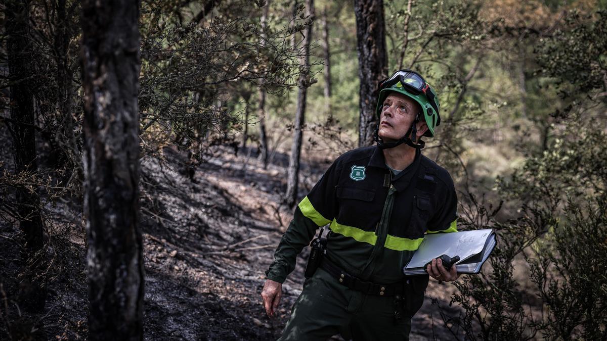 Un agent rural controla les zones on han caigut els 500 llamps a l&#039;Alt Urgell