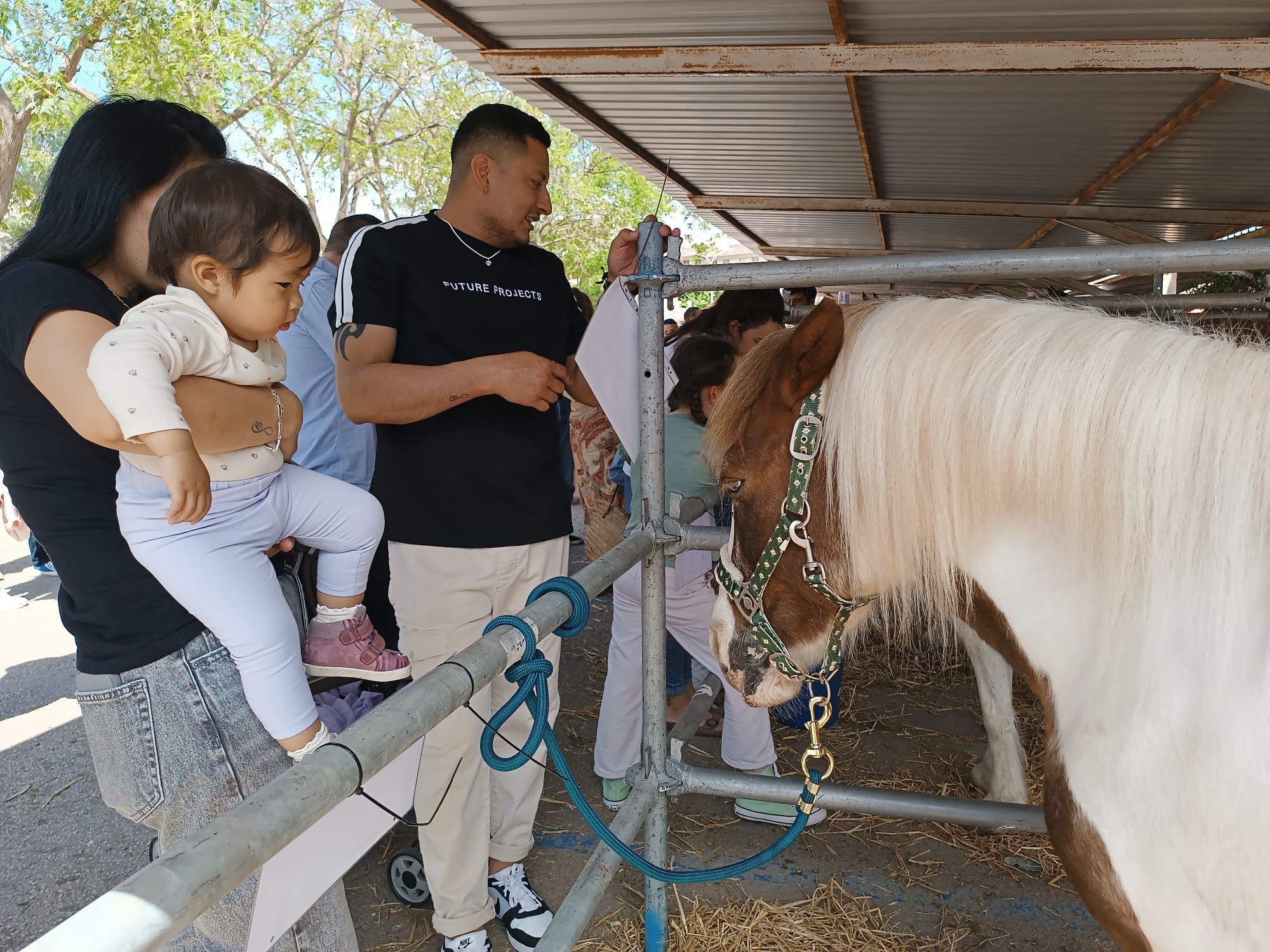 FOTOS | Las ferias de este domingo en distintos pueblos de Mallorca, en imágenes