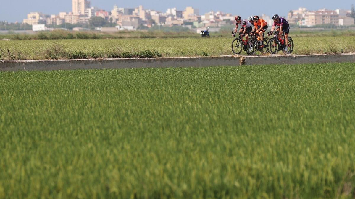 Ciclistas en una etapa de la Vuelta a España 2021.